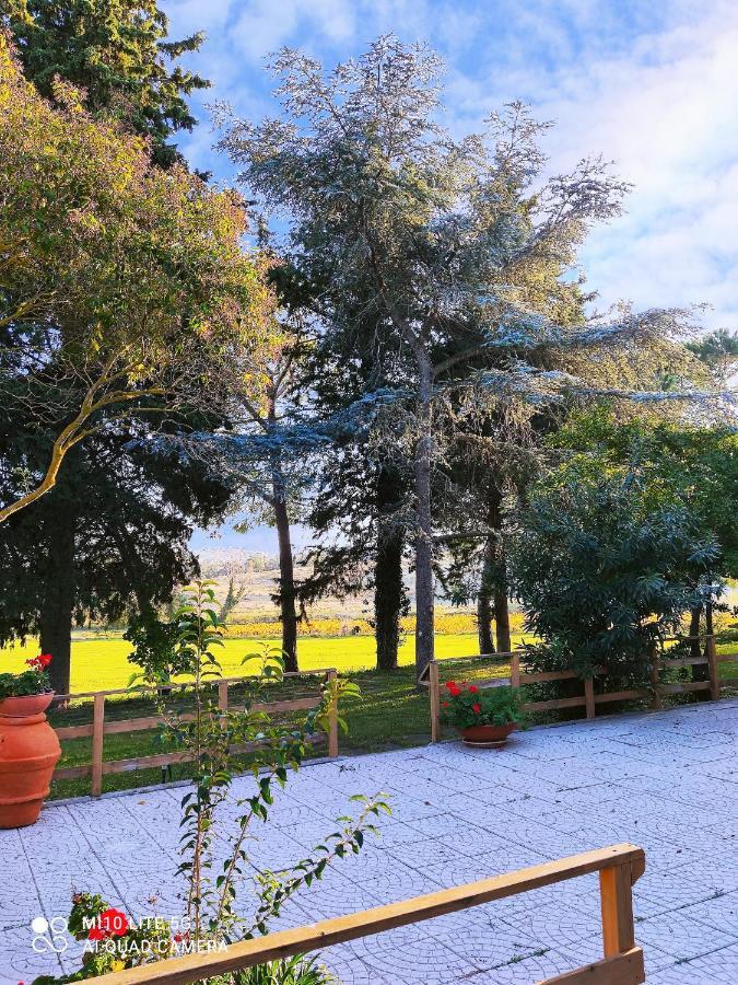モンティアーノ Agriturismo Pian Dell'Osaヴィラ エクステリア 写真