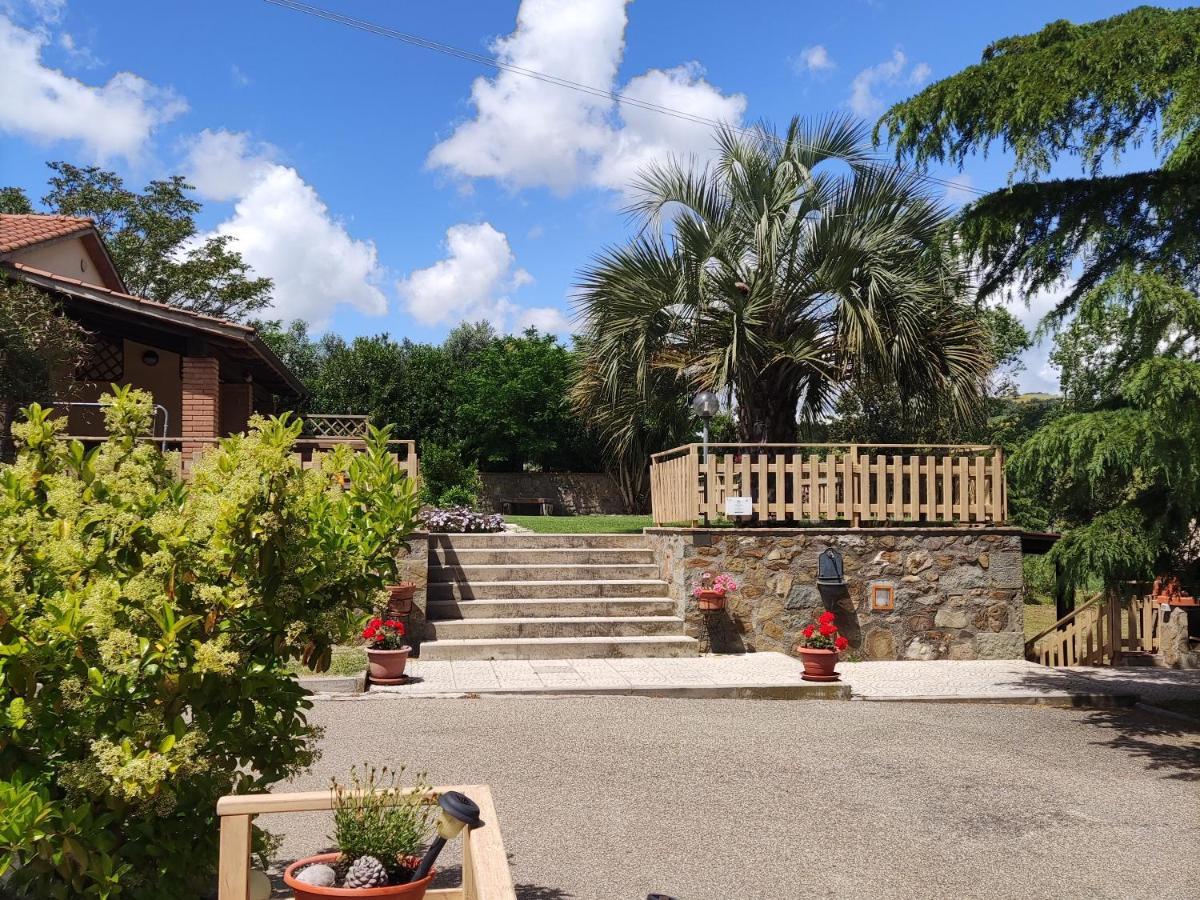 モンティアーノ Agriturismo Pian Dell'Osaヴィラ エクステリア 写真